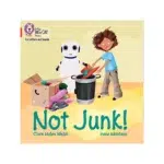 Not Junk! (Lectura Opcional Kinder)